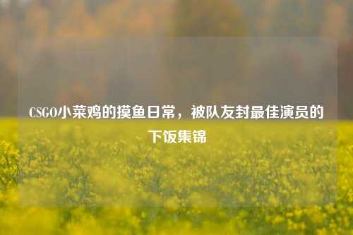 CSGO小菜鸡的摸鱼日常，被队友封最佳演员的下饭集锦