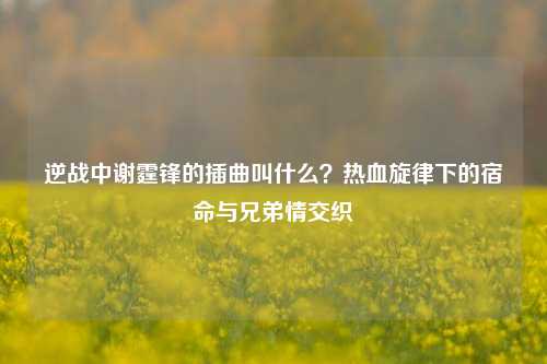 逆战中谢霆锋的插曲叫什么？热血旋律下的宿命与兄弟情交织