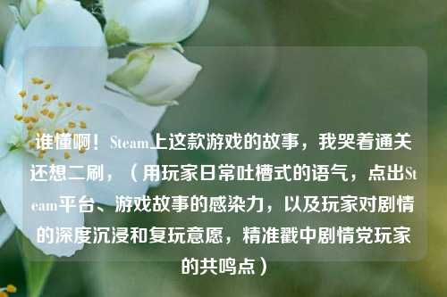 谁懂啊！Steam上这款游戏的故事，我哭着通关还想二刷，（用玩家日常吐槽式的语气，点出Steam平台、游戏故事的感染力，以及玩家对剧情的深度沉浸和复玩意愿，精准戳中剧情党玩家的共鸣点）