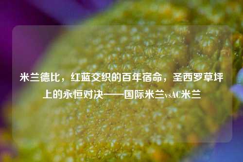 米兰德比，红蓝交织的百年宿命，圣西罗草坪上的永恒对决——国际米兰vsAC米兰
