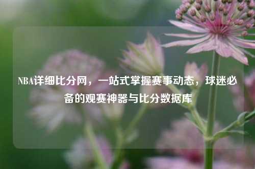 NBA详细比分网，一站式掌握赛事动态，球迷必备的观赛神器与比分数据库