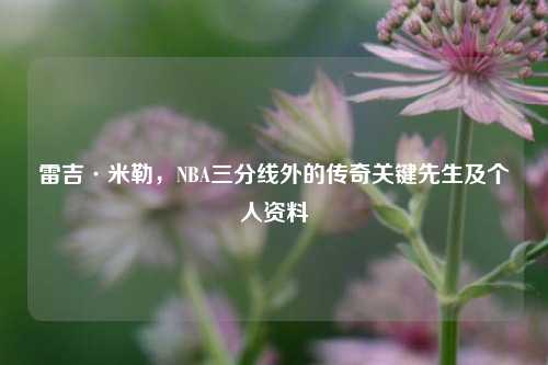 雷吉·米勒，NBA三分线外的传奇关键先生及个人资料