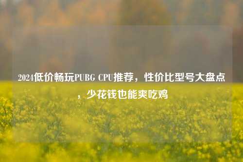 2024低价畅玩PUBG CPU推荐，性价比型号大盘点，少花钱也能爽吃鸡