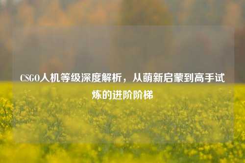 CSGO人机等级深度解析，从萌新启蒙到高手试炼的进阶阶梯