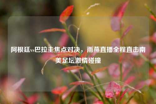 阿根廷vs巴拉圭焦点对决，雨燕直播全程直击南美足坛激情碰撞