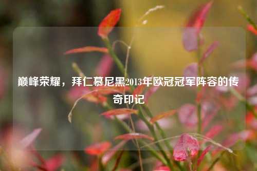 巅峰荣耀，拜仁慕尼黑2013年欧冠冠军阵容的传奇印记