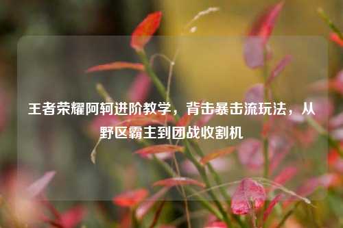 王者荣耀阿轲进阶教学，背击暴击流玩法，从野区霸主到团战收割机