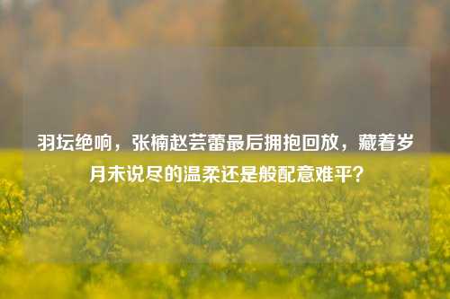 羽坛绝响，张楠赵芸蕾最后拥抱回放，藏着岁月未说尽的温柔还是般配意难平？