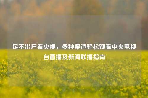 足不出户看央视，多种渠道轻松观看中央电视台直播及新闻联播指南
