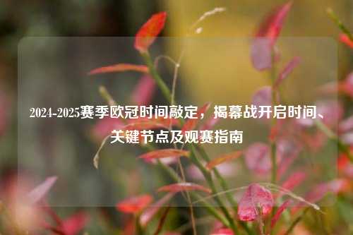 2024-2025赛季欧冠时间敲定，揭幕战开启时间、关键节点及观赛指南