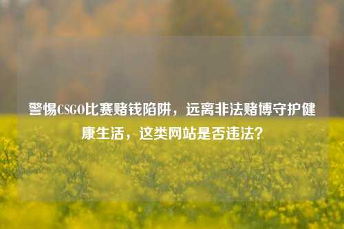 警惕CSGO比赛赌钱陷阱，远离非法赌博守护健康生活，这类网站是否违法？