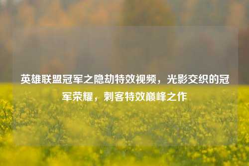 英雄联盟冠军之隐劫特效视频，光影交织的冠军荣耀，刺客特效巅峰之作