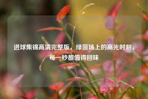 进球集锦高清完整版，绿茵场上的高光时刻，每一秒都值得回味