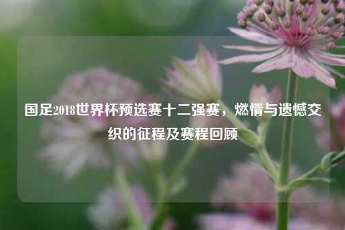 国足2018世界杯预选赛十二强赛，燃情与遗憾交织的征程及赛程回顾