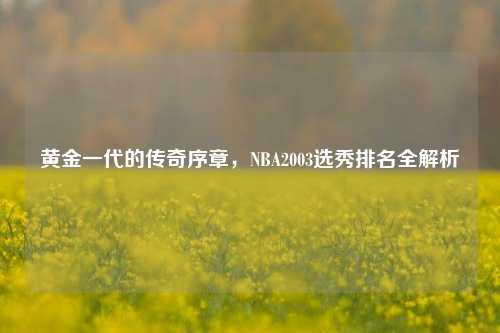 黄金一代的传奇序章，NBA2003选秀排名全解析