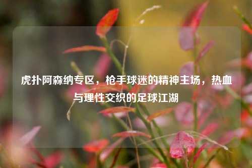 虎扑阿森纳专区，枪手球迷的精神主场，热血与理性交织的足球江湖