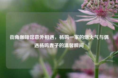 街角咖啡馆意外相遇，杨鸣一家的烟火气与偶遇杨鸣妻子的温馨瞬间