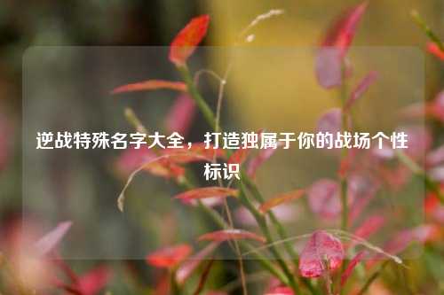 逆战特殊名字大全，打造独属于你的战场个性标识
