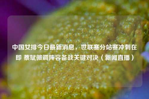 中国女排今日最新消息，世联赛分站赛冲刺在即 蔡斌微调阵容备战关键对决（新闻直播）