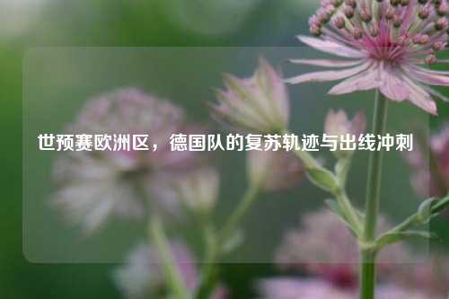 世预赛欧洲区，德国队的复苏轨迹与出线冲刺