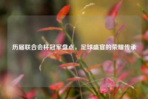 历届联合会杯冠军盘点，足球盛宴的荣耀传承