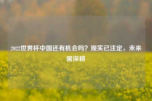 2022世界杯中国还有机会吗？现实已注定，未来需深耕