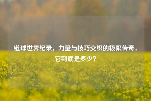 链球世界纪录，力量与技巧交织的极限传奇，它到底是多少？