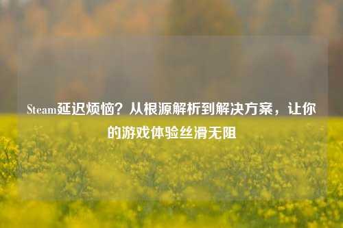Steam延迟烦恼？从根源解析到解决方案，让你的游戏体验丝滑无阻