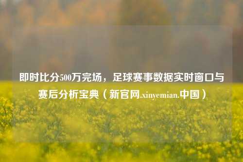 即时比分500万完场，足球赛事数据实时窗口与赛后分析宝典（新官网.xinyemian.中国）