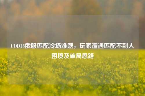 COD16俄服匹配冷场难题，玩家遭遇匹配不到人困境及破局思路