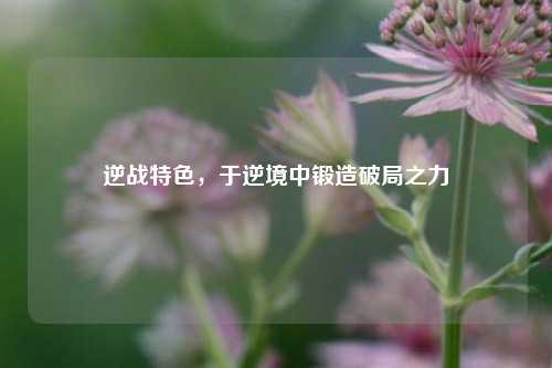 逆战特色,于逆境中锻造破局之力