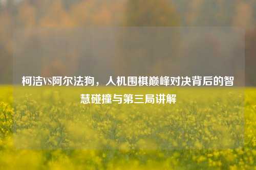 柯洁VS阿尔法狗，人机围棋巅峰对决背后的智慧碰撞与第三局讲解