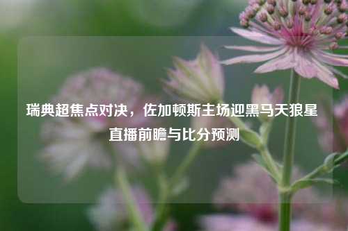 瑞典超焦点对决，佐加顿斯主场迎黑马天狼星 直播前瞻与比分预测