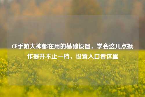 CF手游大神都在用的基础设置，学会这几点操作提升不止一档，设置入口看这里
