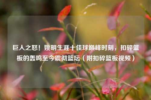 巨人之怒！姚明生涯十佳球巅峰时刻，扣碎篮板的轰鸣至今震彻篮坛（附扣碎篮板视频）