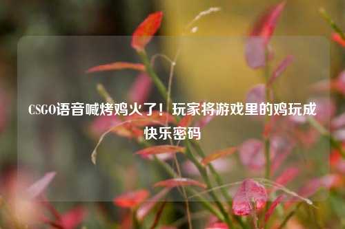 CSGO语音喊烤鸡火了！玩家将游戏里的鸡玩成快乐密码