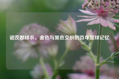 诺茨郡球衣，金色与黑色交织的百年足球记忆