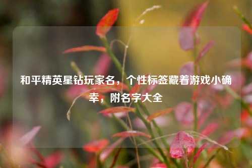 和平精英星钻玩家名，个性标签藏着游戏小确幸，附名字大全