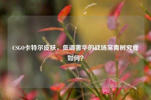 CSGO卡特尔皮肤，低调奢华的战场常青树究竟如何？