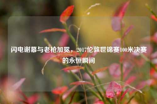 闪电谢幕与老枪加冕，2017伦敦世锦赛100米决赛的永恒瞬间