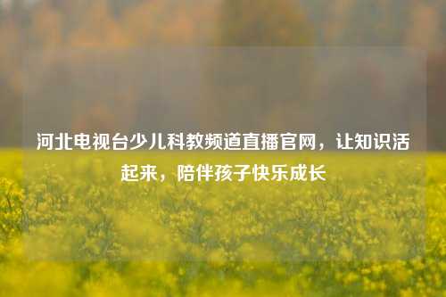 河北电视台少儿科教频道直播官网,让知识活起来,陪伴孩子快乐成长