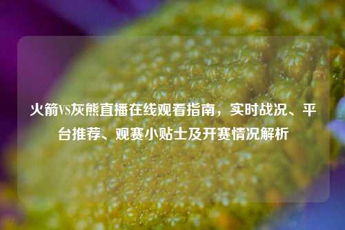 火箭VS灰熊直播在线观看指南，实时战况、平台推荐、观赛小贴士及开赛情况解析