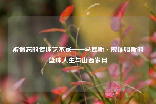 被遗忘的传球艺术家——马库斯·威廉姆斯的篮球人生与山西岁月