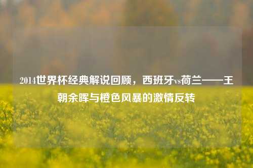 2014世界杯经典解说回顾，西班牙vs荷兰——王朝余晖与橙色风暴的激情反转