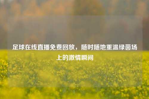 足球在线直播免费回放，随时随地重温绿茵场上的激情瞬间