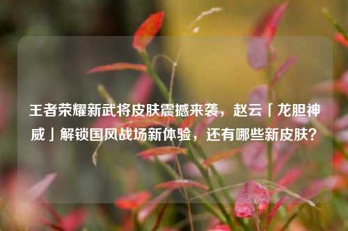 王者荣耀新武将皮肤震撼来袭，赵云「龙胆神威」解锁国风战场新体验，还有哪些新皮肤？