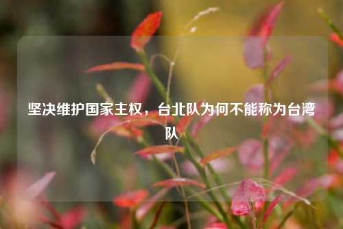 坚决维护国家主权，台北队为何不能称为台湾队