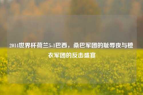 2014世界杯荷兰5-1巴西，桑巴军团的耻辱夜与橙衣军团的反击盛宴