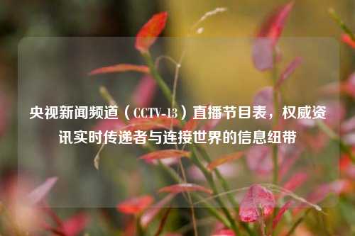 央视新闻频道（CCTV-13）直播节目表，权威资讯实时传递者与连接世界的信息纽带