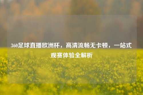 360足球直播欧洲杯，高清流畅无卡顿，一站式观赛体验全解析